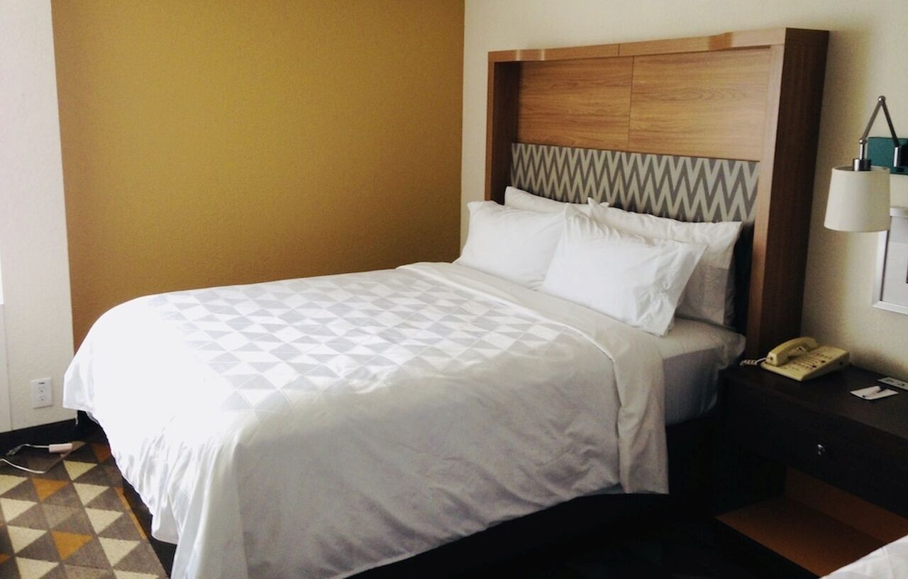 Holiday Inn & Suites Pittsfield-Berkshires By Ihg Εξωτερικό φωτογραφία